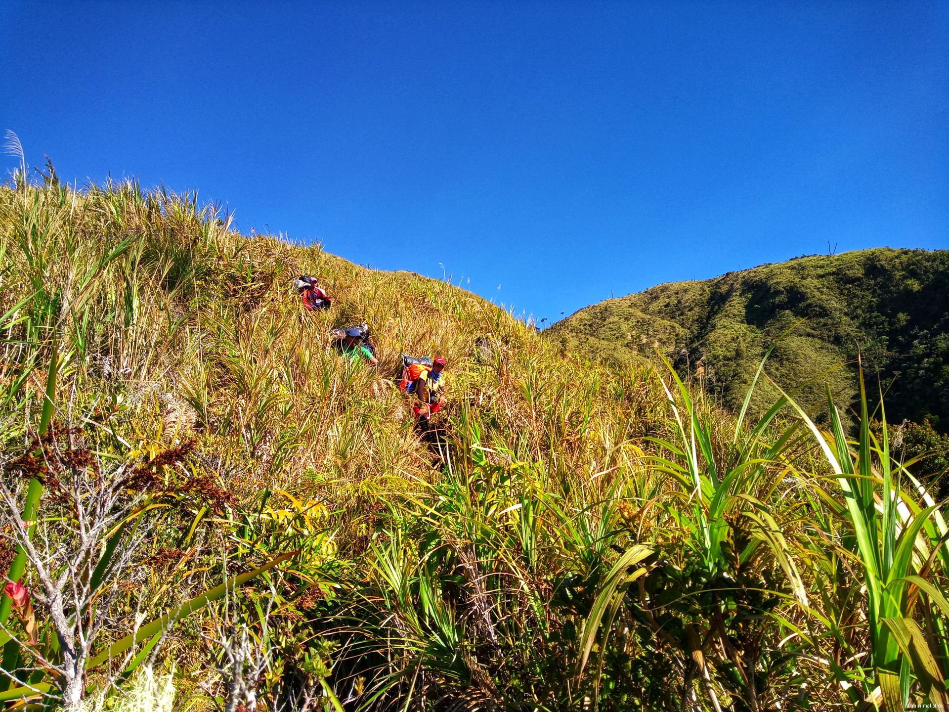 scenic view of the grassy slopes of Mt. Kalatungan