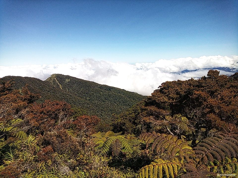 Mt. Kalatungan's summit view