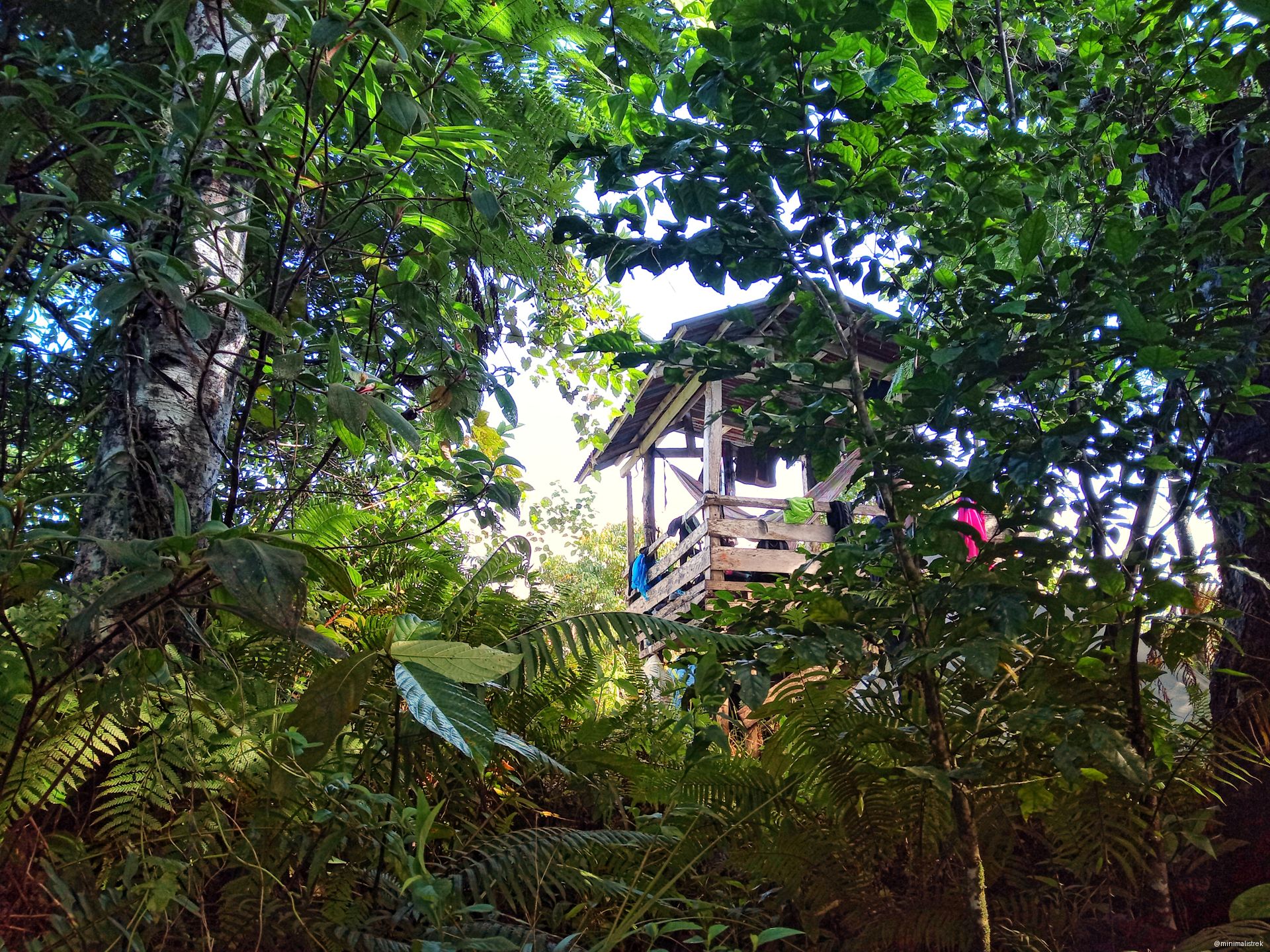 Wooden treehouse hidden in the lush foliage of Mt. Timolan