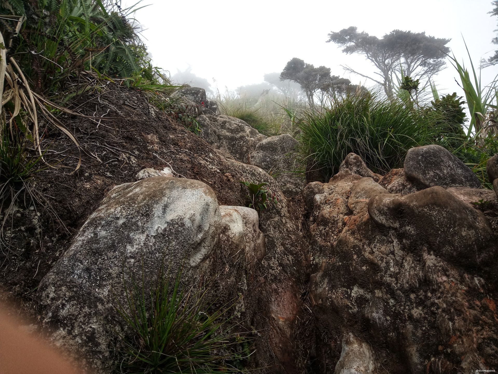 Rugged rocky trail on Mount Kitanglad in the Philippines