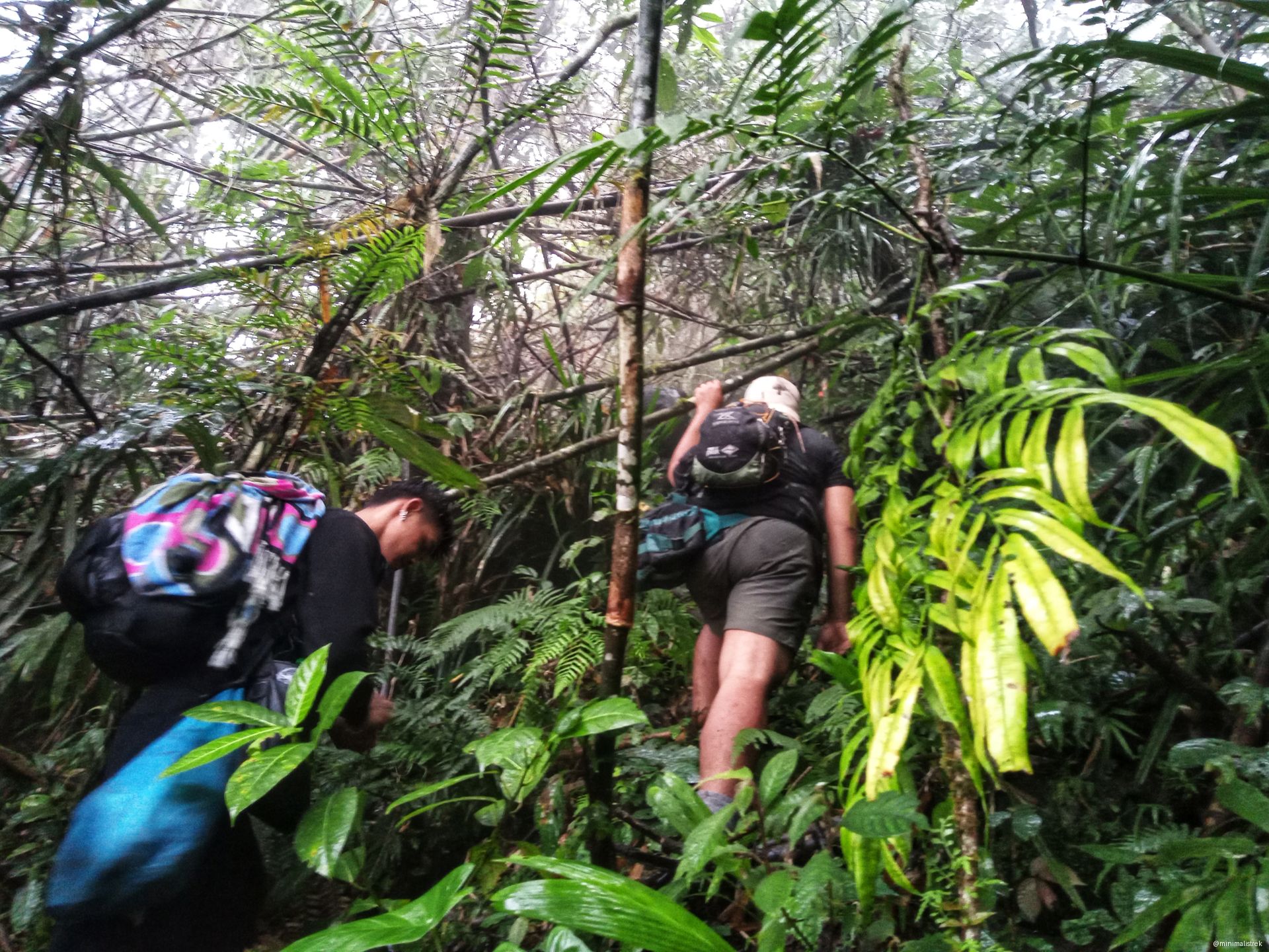 Hiking through the rain-soaked trails of Mt. Timolan